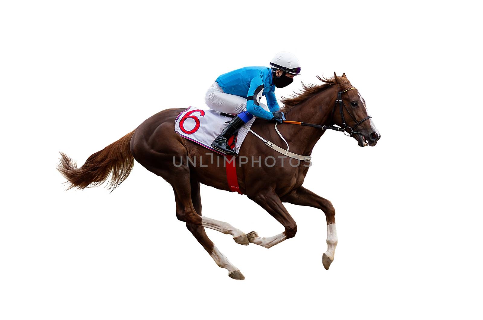 horse racing jockey isolated on white background