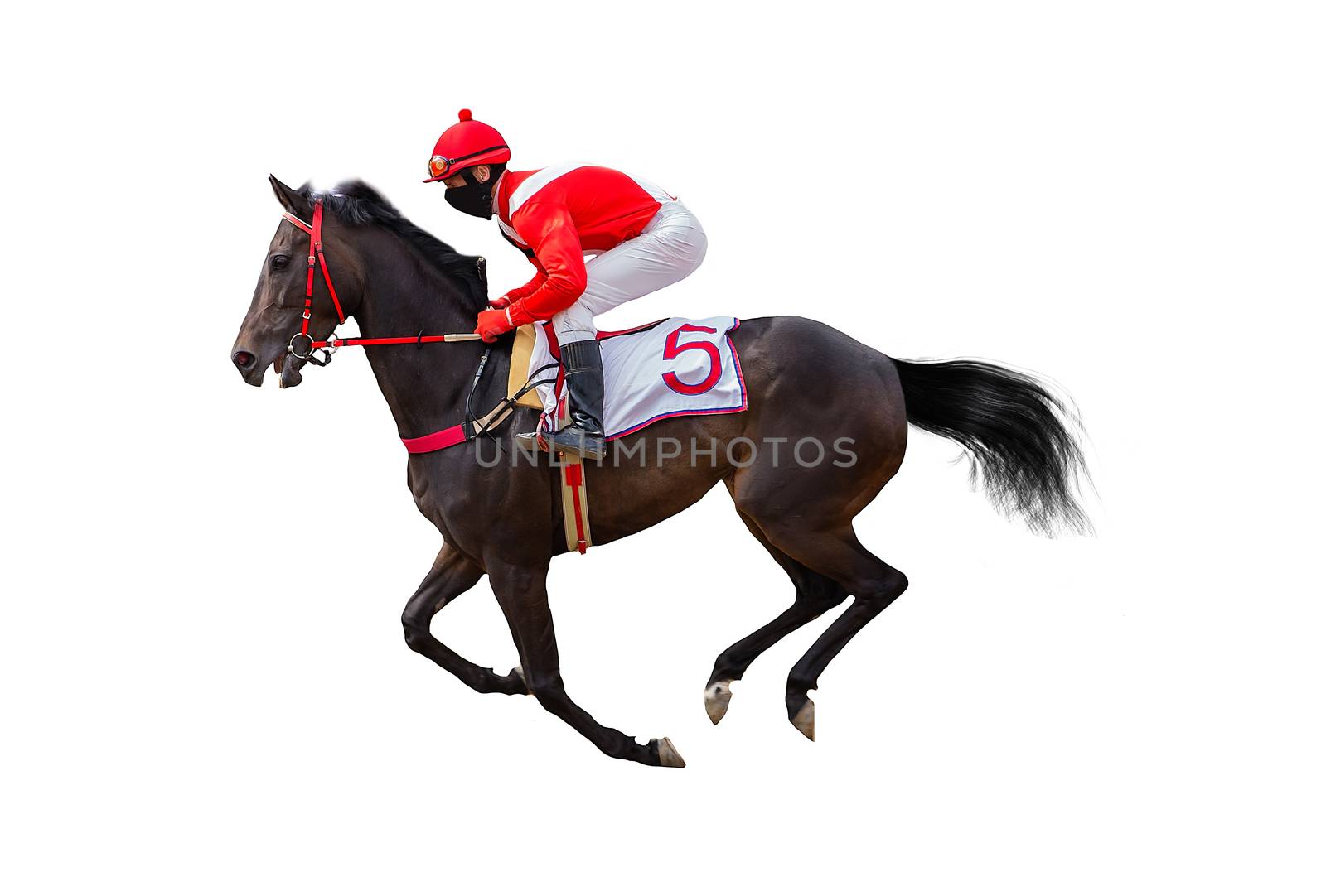 horse racing jockey isolated on white background