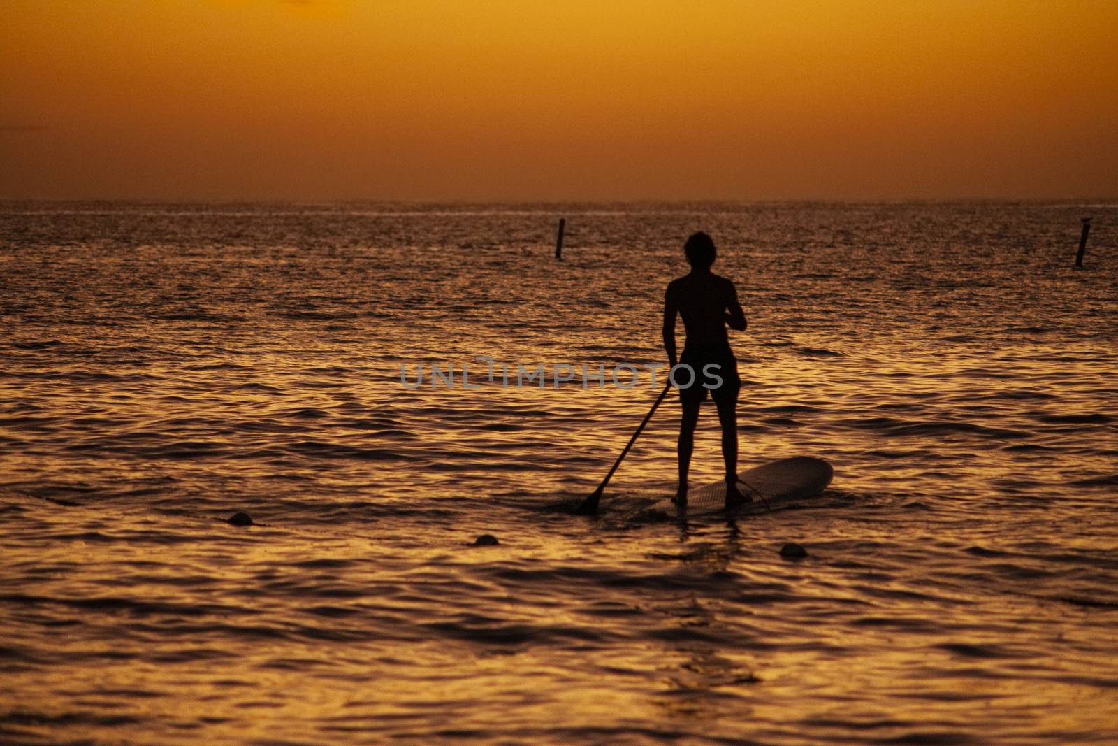 Rowing at the sea at sunset 6 by pippocarlot