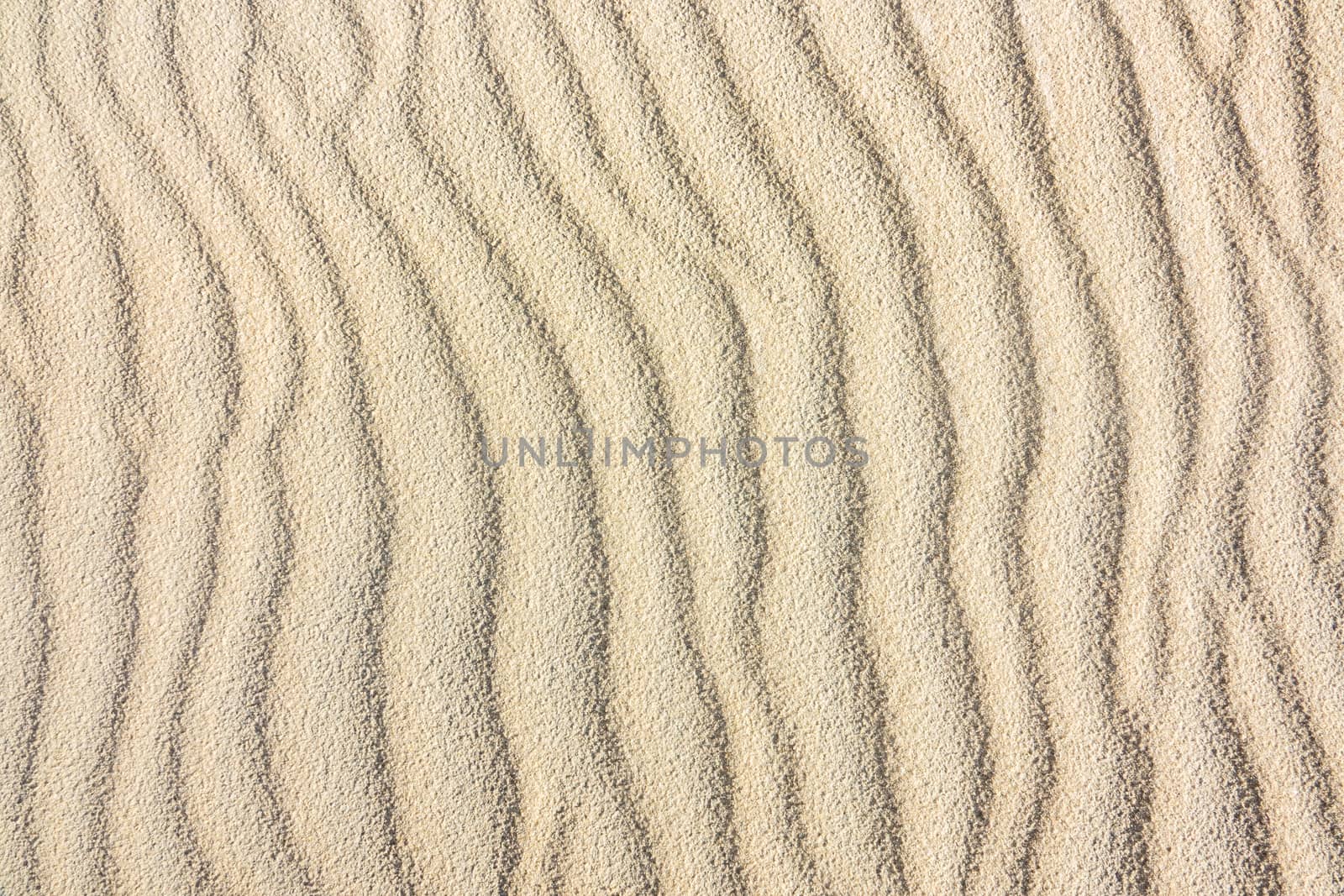 Abstract Background Texture Of Lines In A Sand Dune