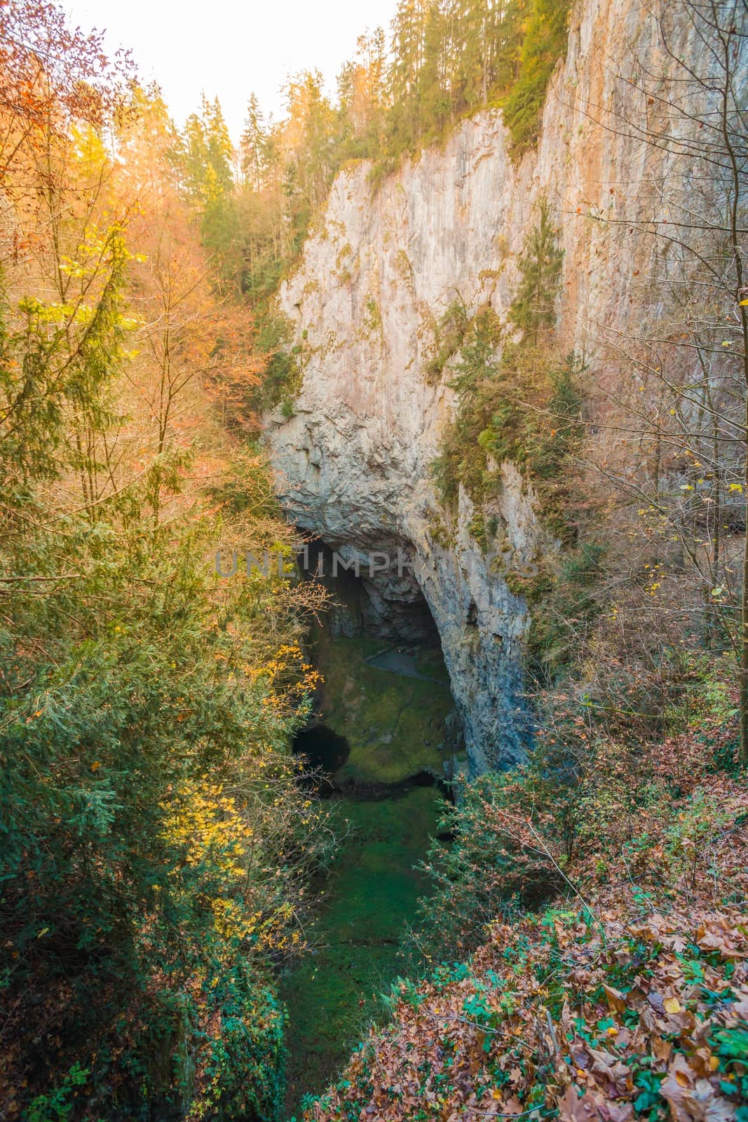 Macocha gorge Abyss, Czech Propast Macocha is sinkhole in the Moravian Karst cave system of the Czech Republic, South Moravia, near city Brno and Blansko