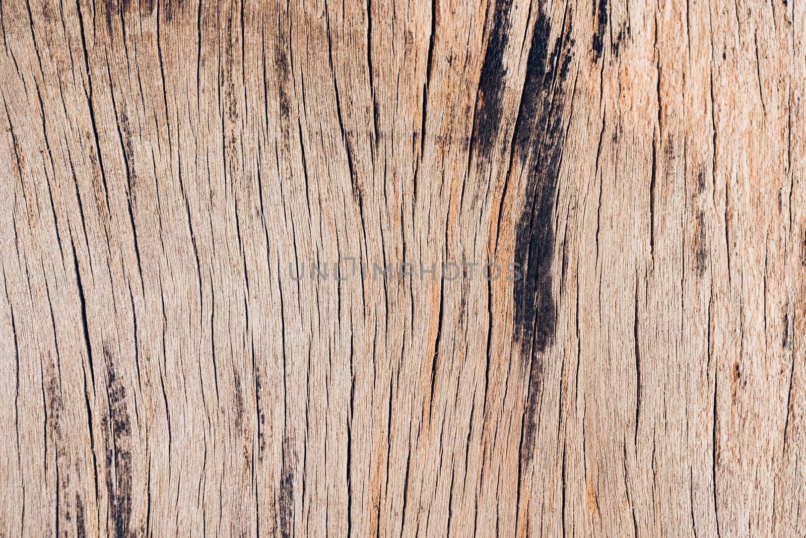 Old wood board, copy space wooden texture pattern background