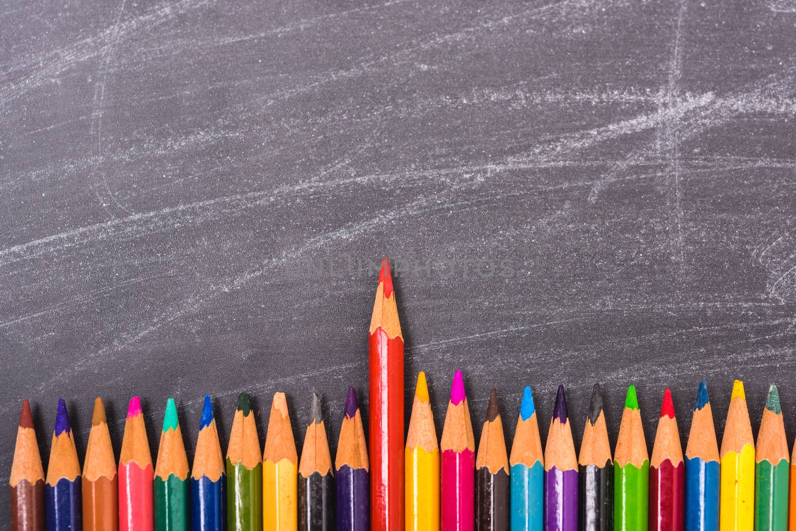 Red pencils color standing out from the crowd on blackboard and have chalkboard