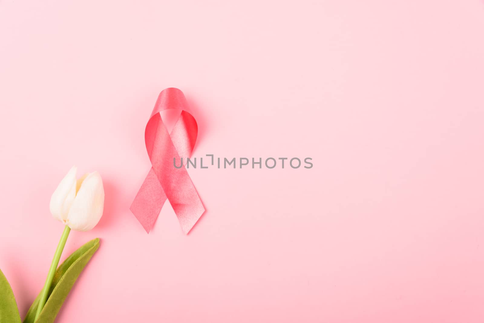 Breast cancer month concept, flat lay top view, pink ribbon and Tulip Flower on pink background with copy space for your text