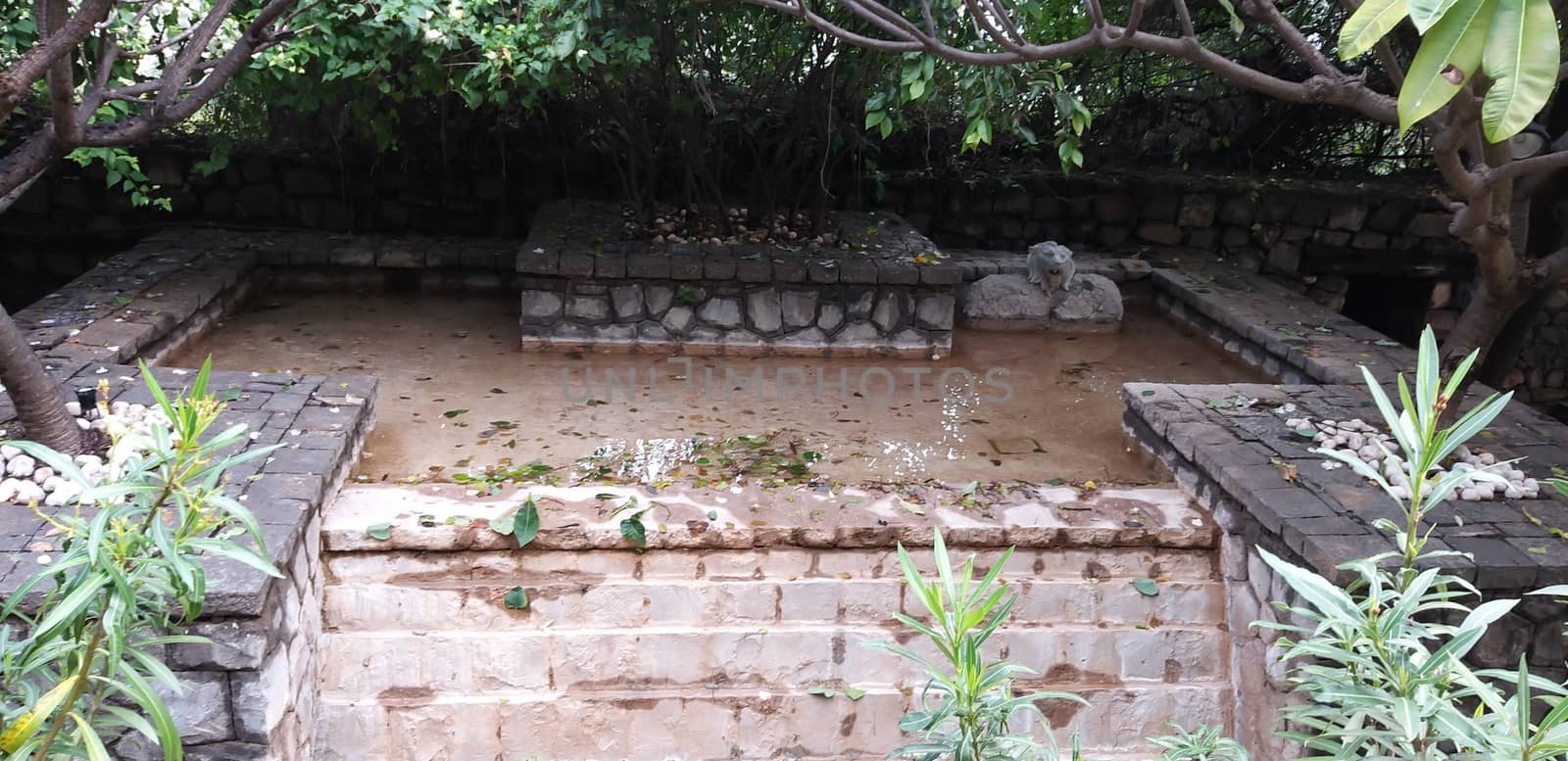 a small alcove in the garden