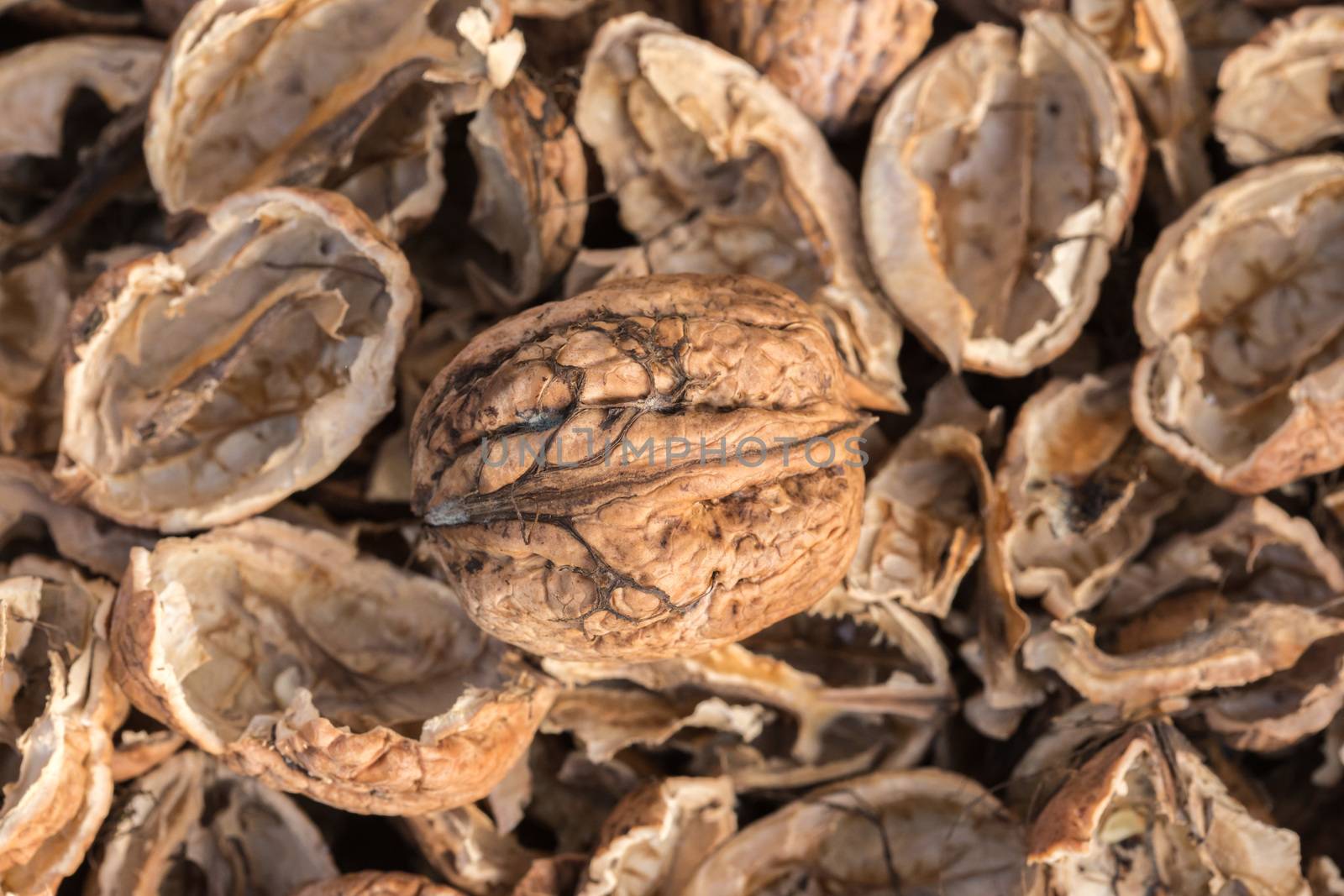 One complete walnut with cracked walnut shells. Pieces of nutshells. by petrsvoboda91