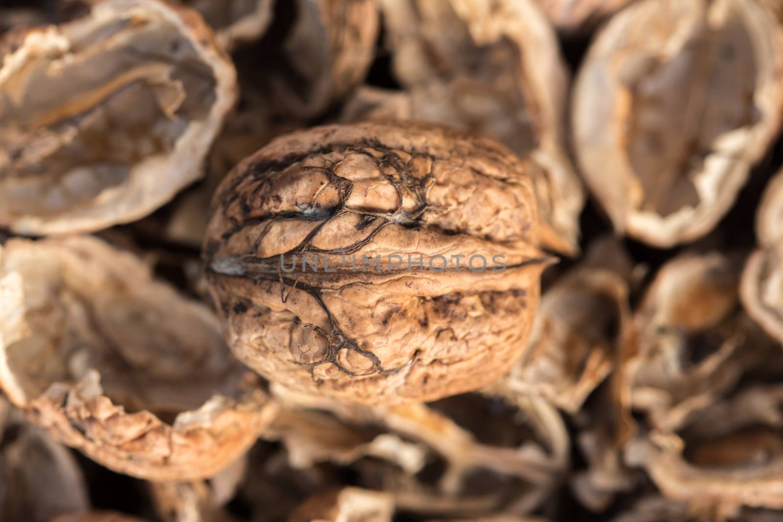 One complete walnut with cracked walnut shells. Pieces of nutshells. Close up. by petrsvoboda91