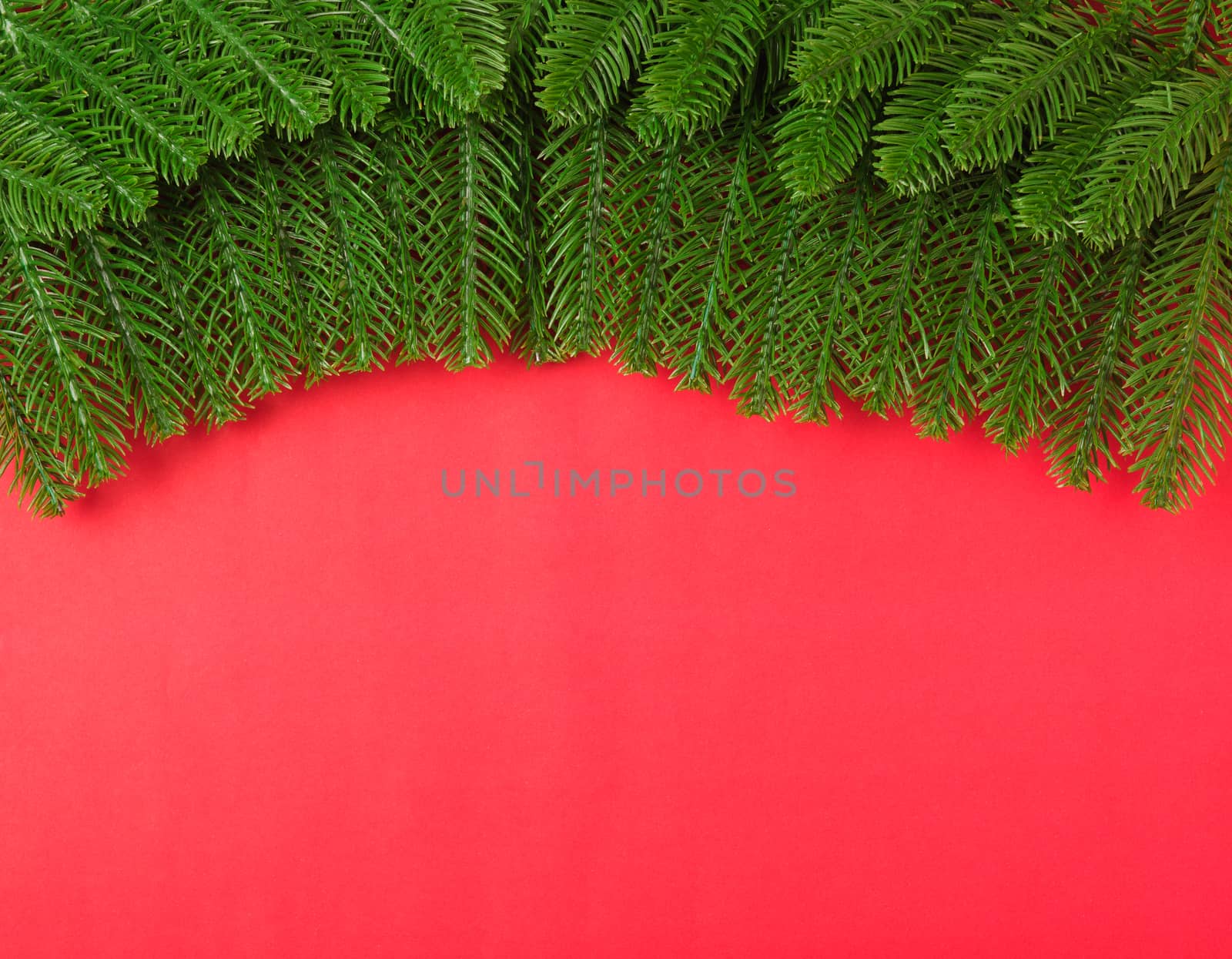 Happy new year or christmas day top view flat lay fir tree branches on red background with copy space for your text