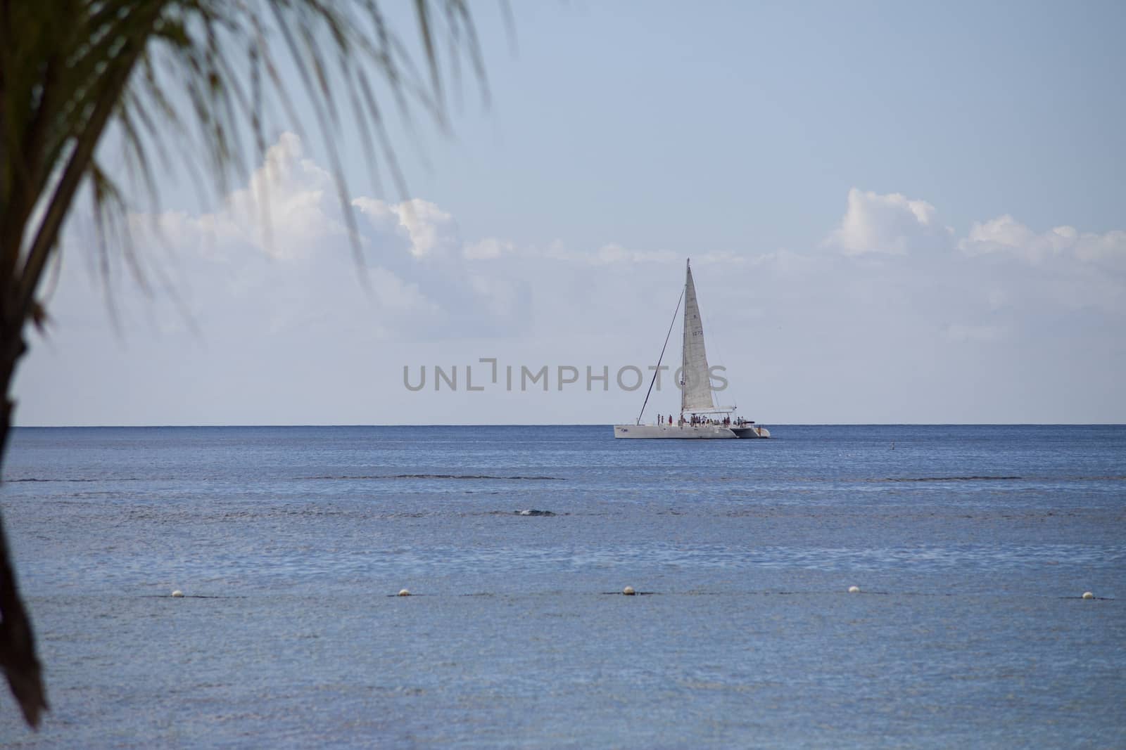 Sailboats on Bayahibe sea 2 by pippocarlot