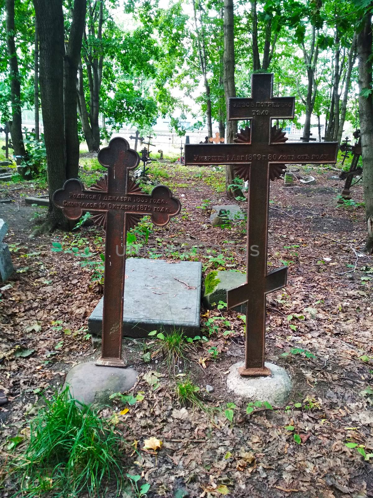 
Two rust-colored metal crosses in the cemetery. by Igor2006