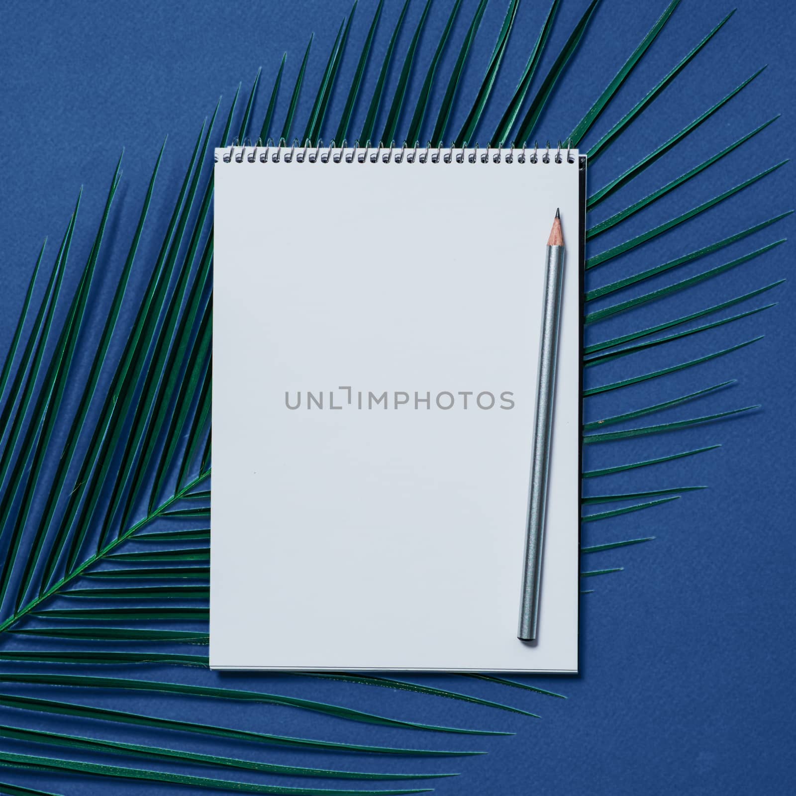 Blank notebook and pencil on dark blue background. Empty notebook paper over palm leaf on fashion blue color 2020 background with copy space for text or design. Flat lay, top view, copys pace, square