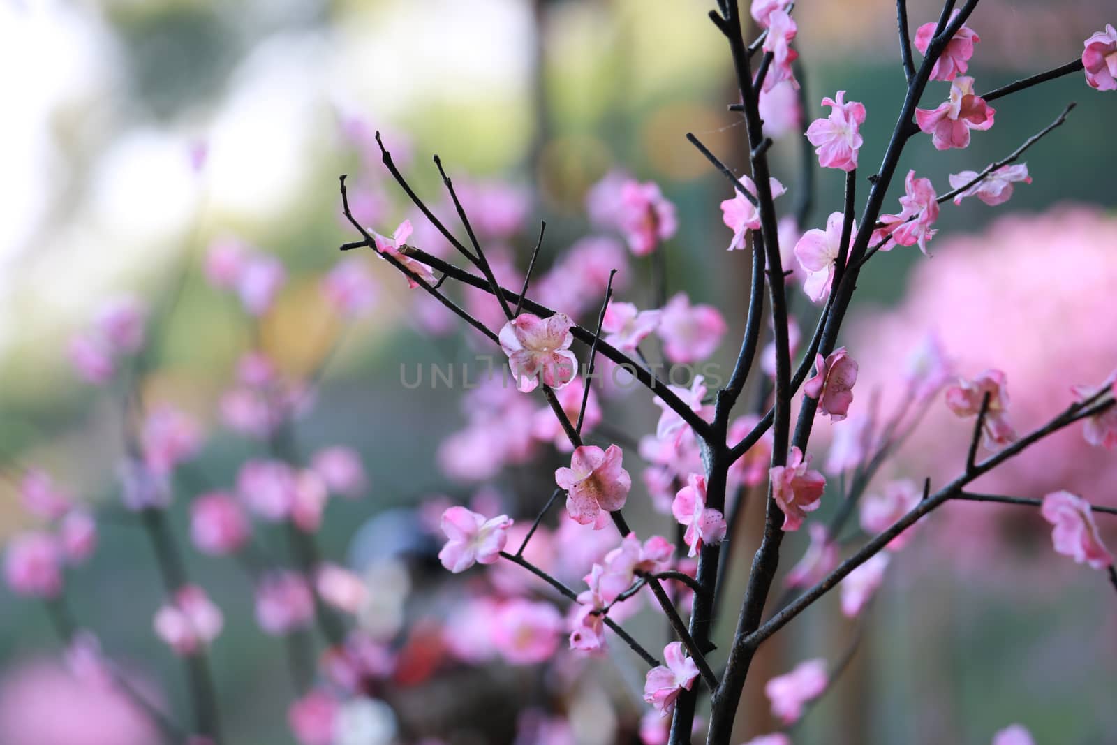 fake cherry blossoms with branch,beautiful fake cherry blossoms flower as a floral background