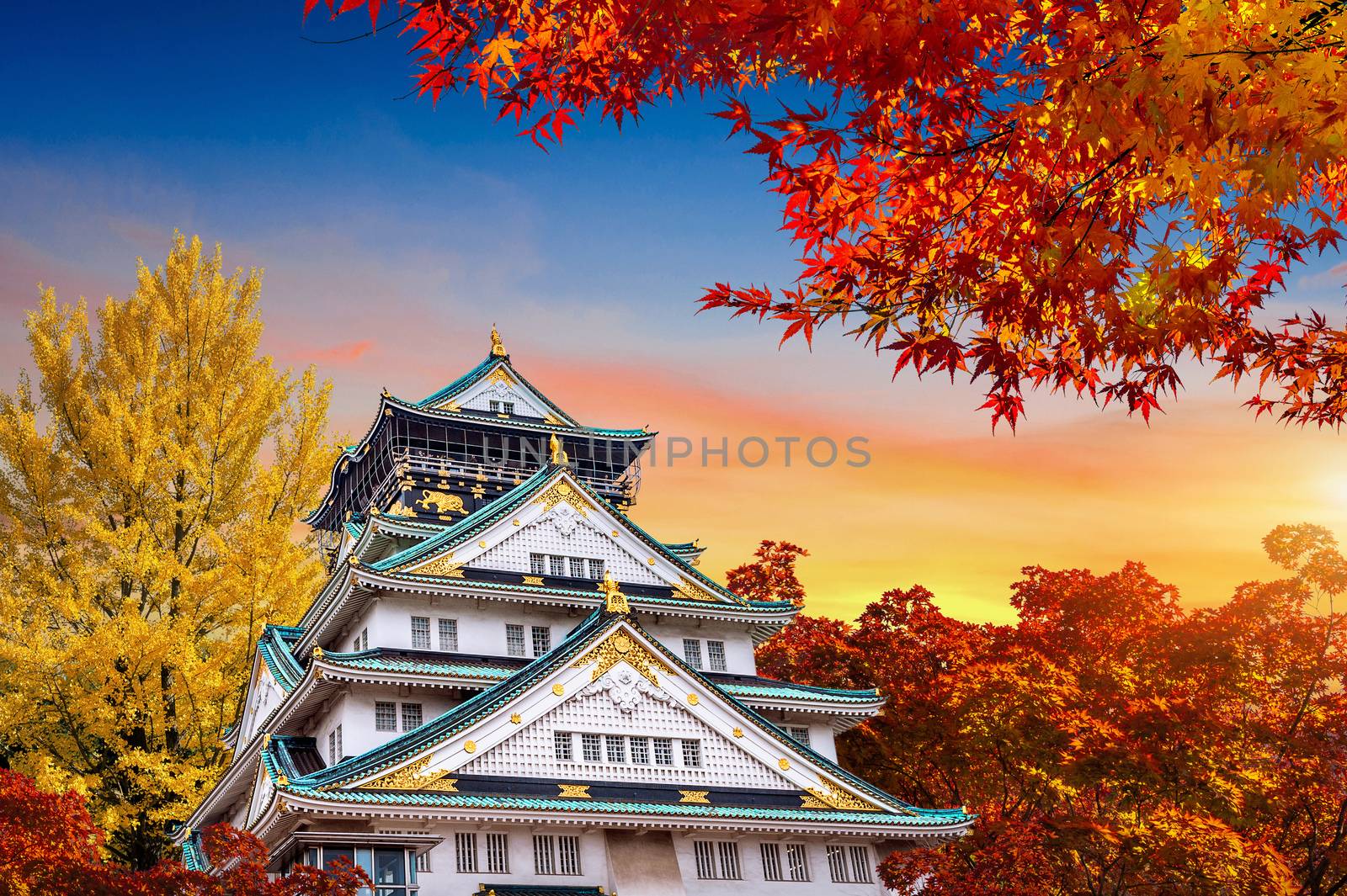 Autumn Season and castle in Osaka, Japan.