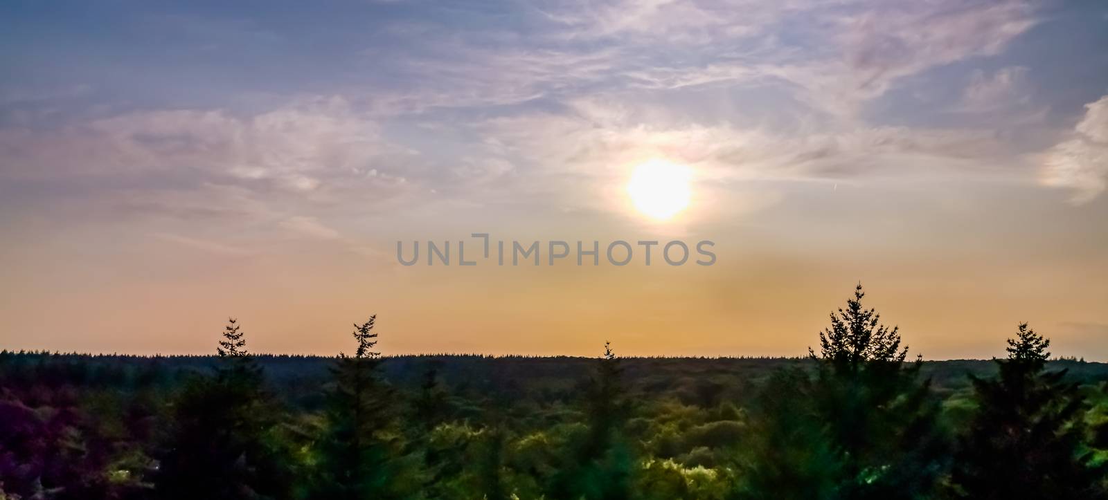 beautiful skyline of berg en bos city park in apeldoorn, The Netherlands, colorful sunny sky with clouds by charlottebleijenberg