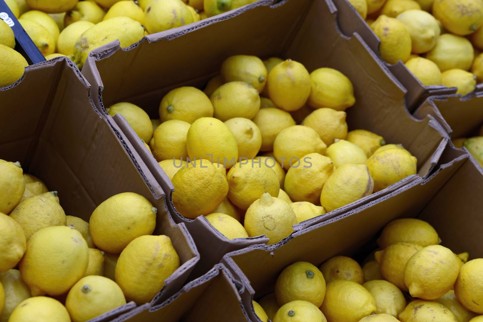 Colorful Display Of Lemons In Market. Macro Photo Of A Ripe Juicy Lemon Fruit. Texture yellow citrus fruit lemon. Many yellow sour lemons lie on the shelf.