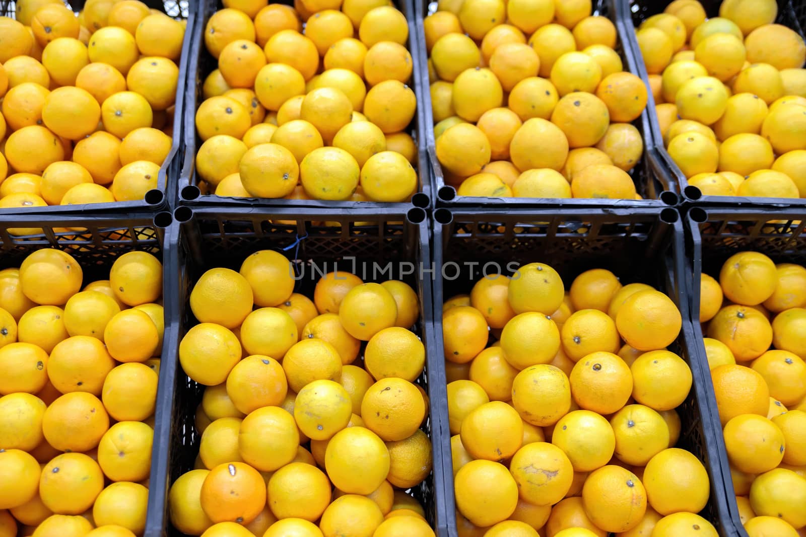 Grapefruit harvest. Background texture: Yellow and orange grapefruit. Grapefruit on a grocery store shelf, close-up. Exotic fruits in the supermarket.