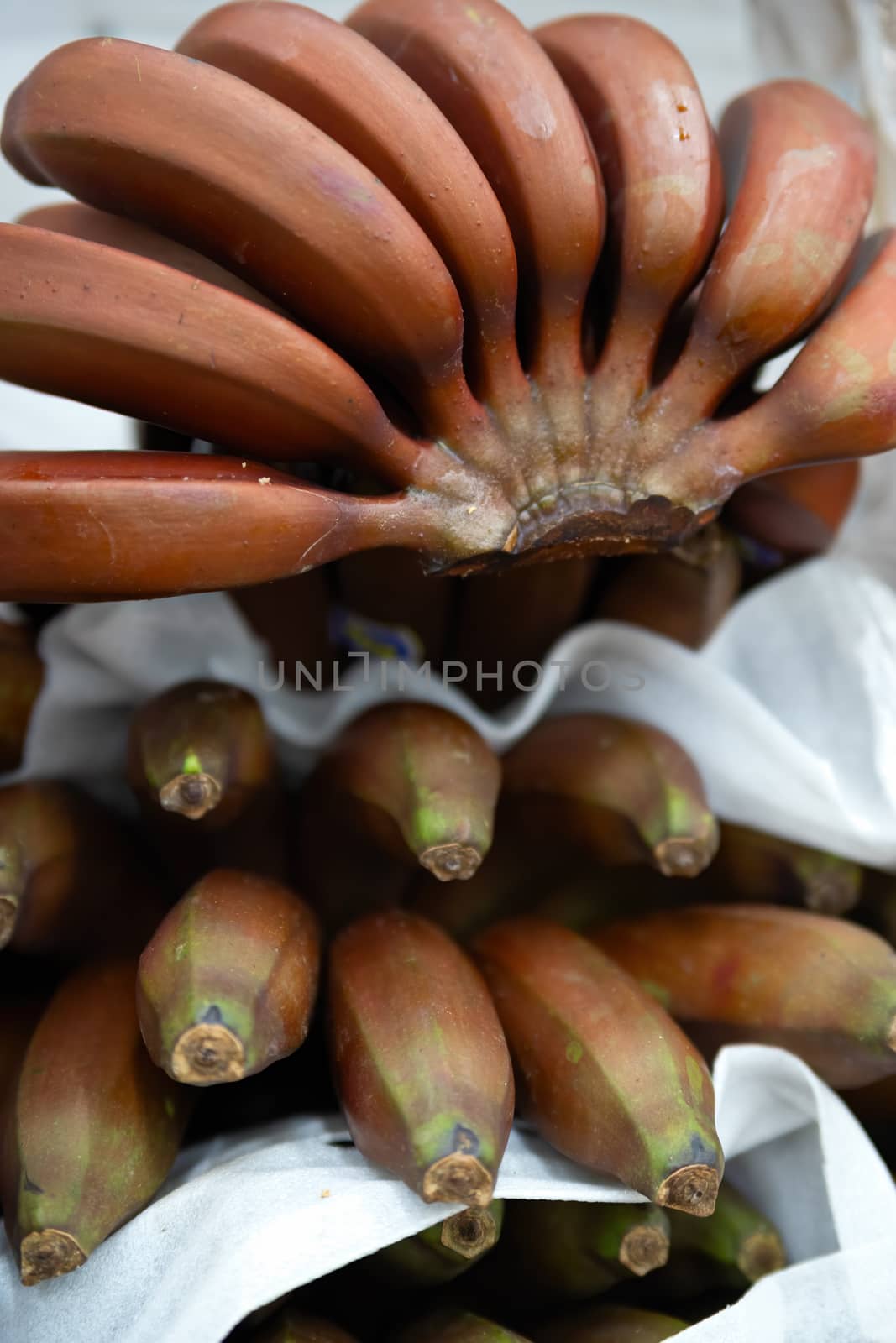 Bunch of bananas unusual brown varieties on boxes in the supermarket