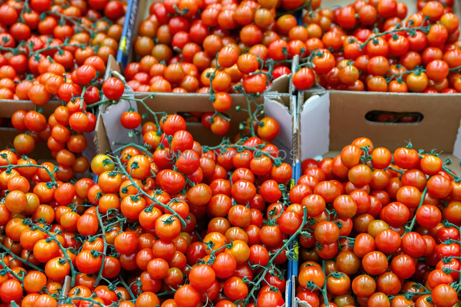 Red tomatoes healthy vegetables in carton box as food background. Supermarket retail.