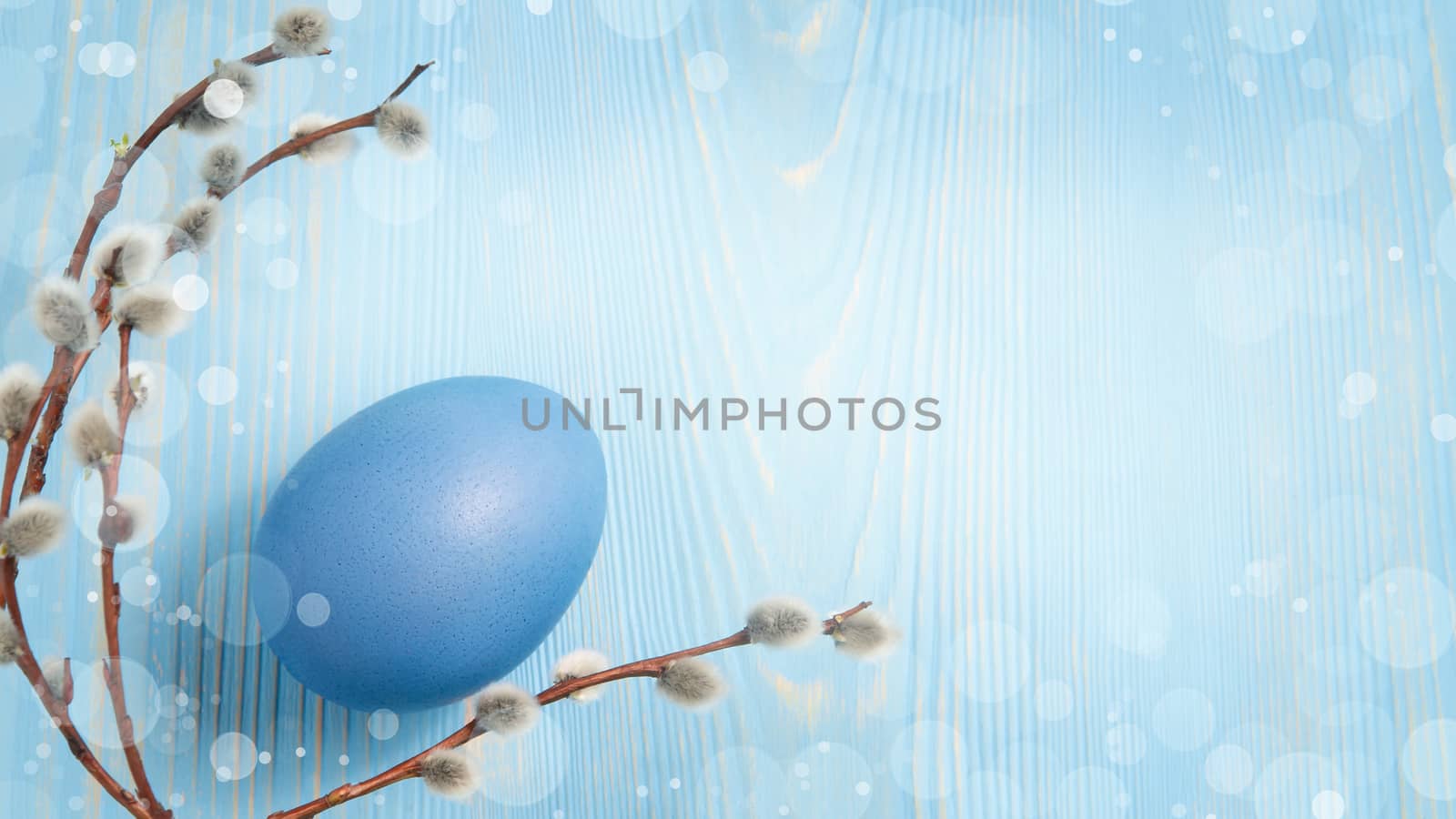 One blue egg on a blue wooden table with pussy-willow twigs - horizontal blank for design or greeting card, place for text, copy space.