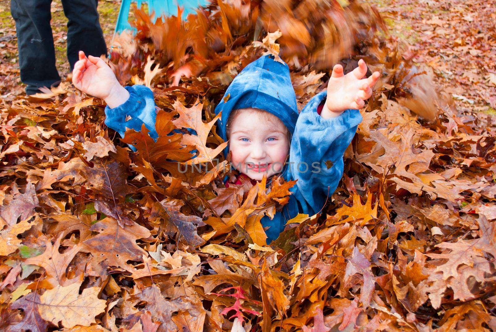 A happy Litle girl enjoying an autumn pile of raked leaves outside day