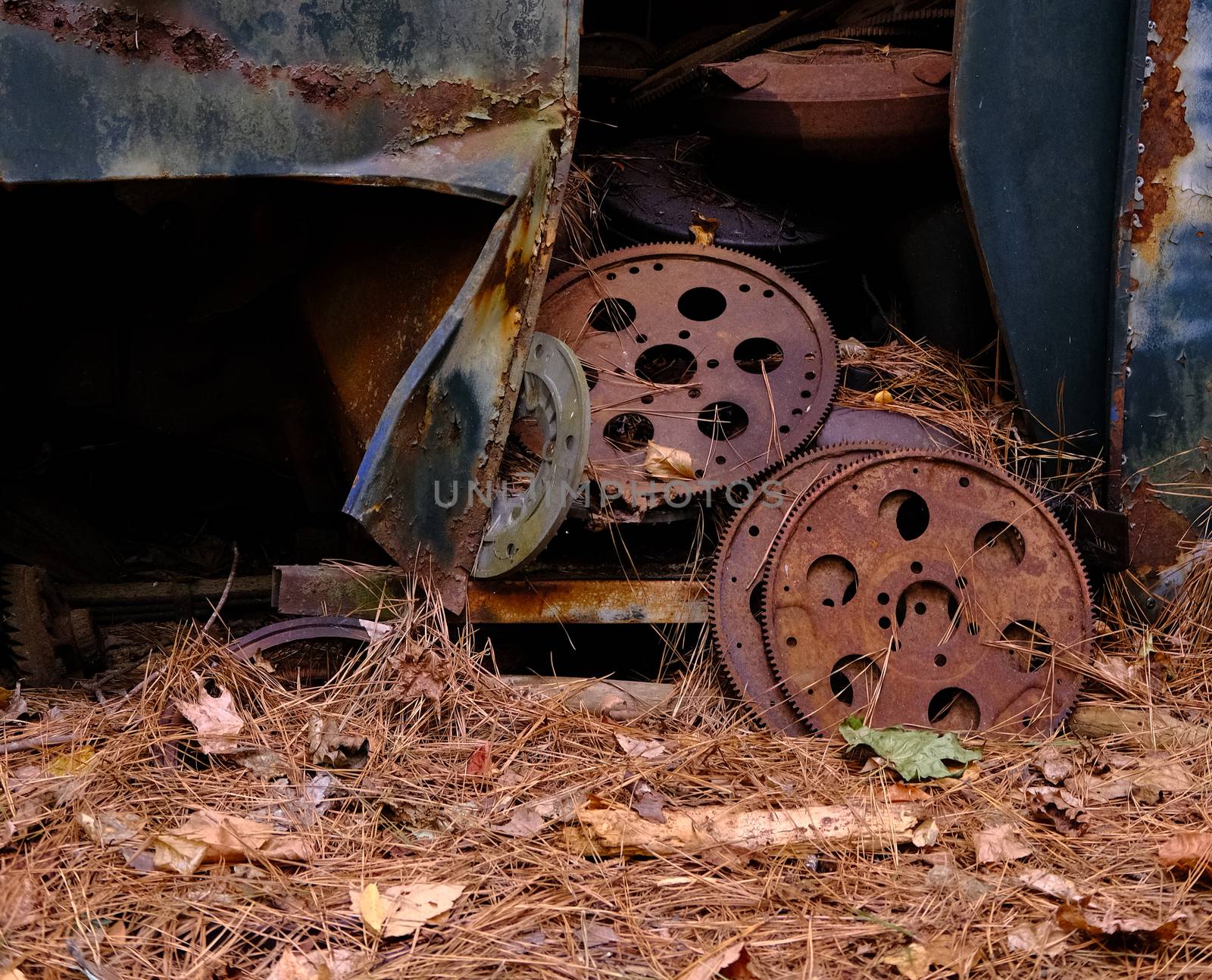 Rusty Gears in Woods by dbvirago