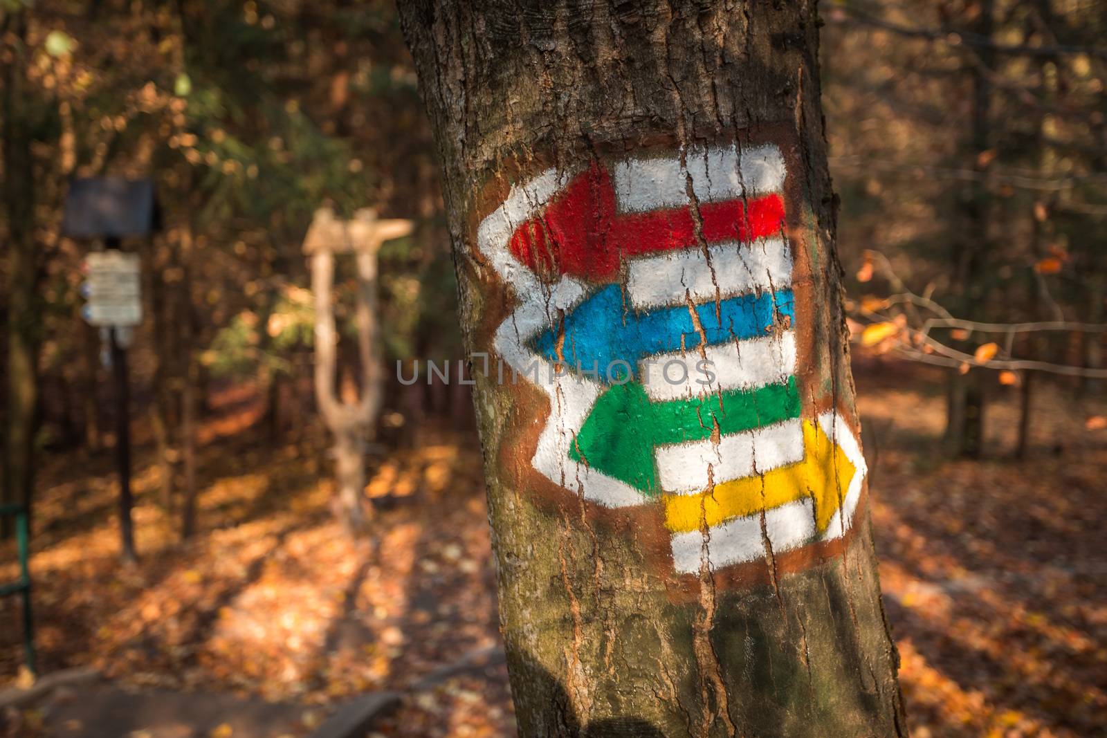Touristic sign or mark on tree next to touristic path with nice autumn scene in background. Forrest trail. by petrsvoboda91
