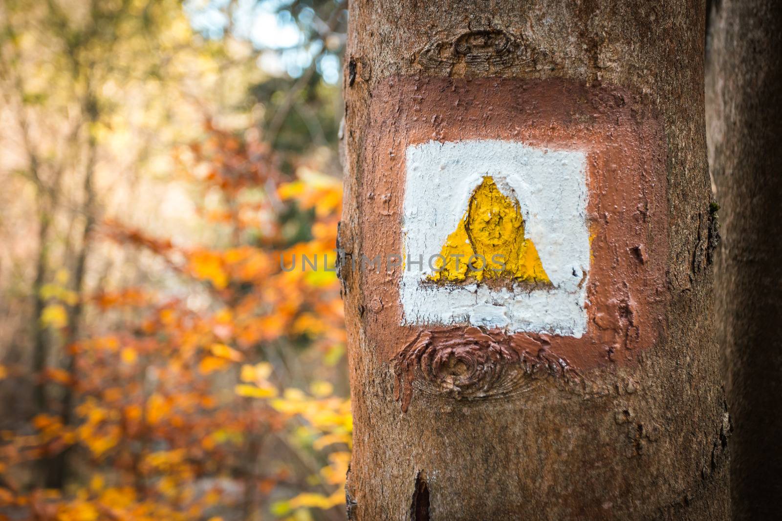 Touristic sign or mark on tree next to touristic path with nice autumn scene in background.