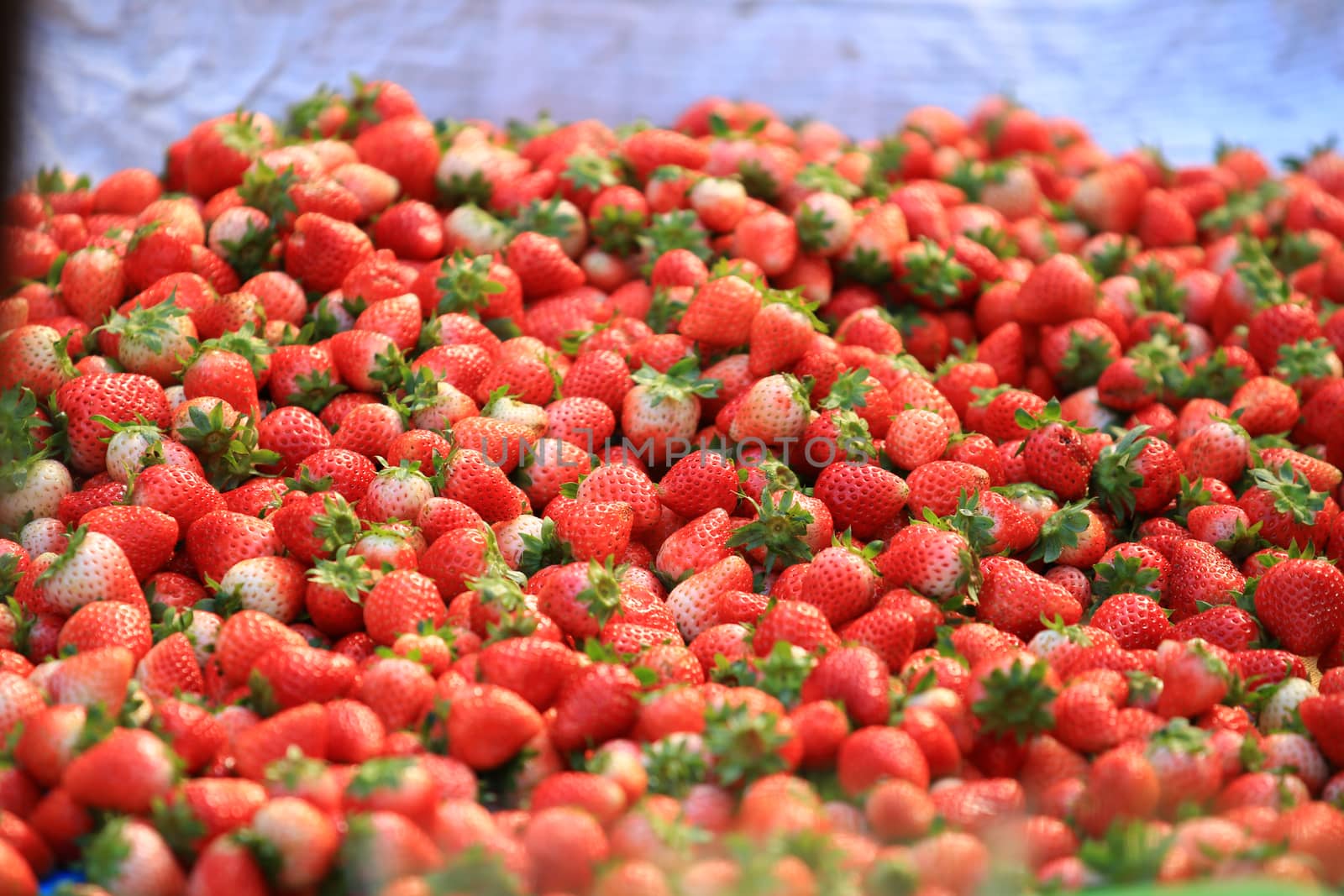 Group of strawberries are on sale.background from freshly harvested strawberries