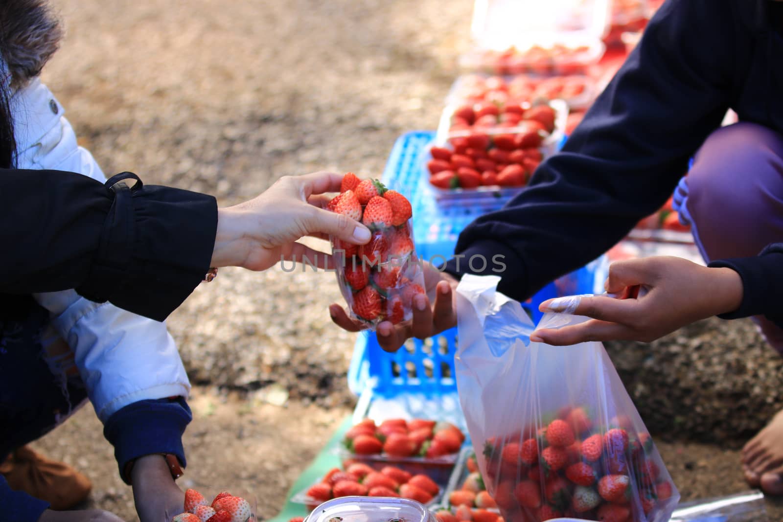 Woman hand buys strawberry from seller,Woman seller is holding strawberry in her hands. Focus on hand