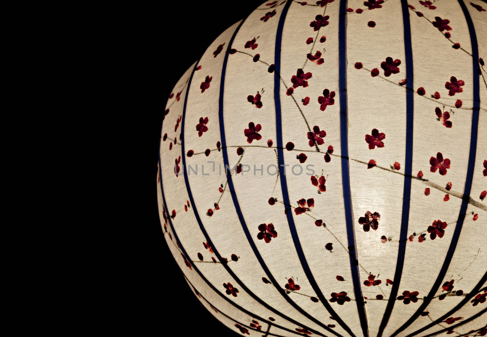 Close-up of white Chinese lantern over black background