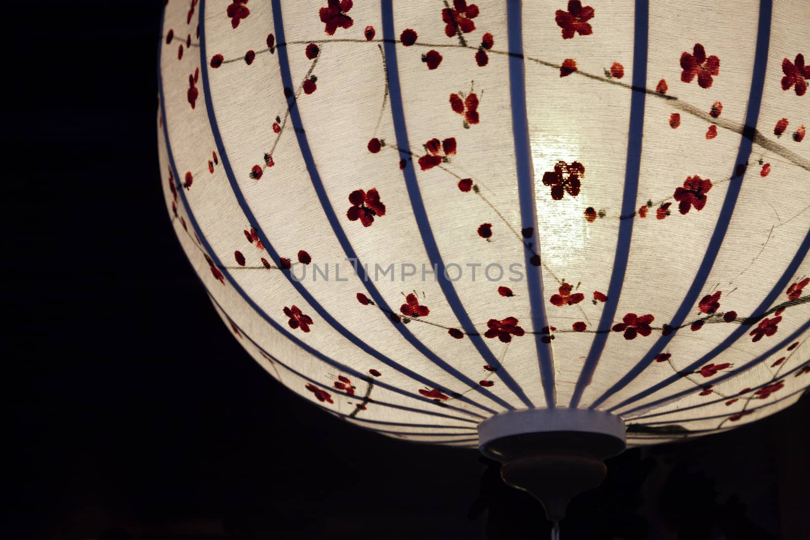 Close-up of white Chinese lantern over black background