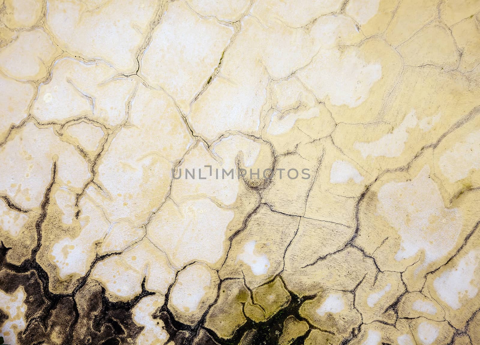 Cracks on a moldy wall for texture or background