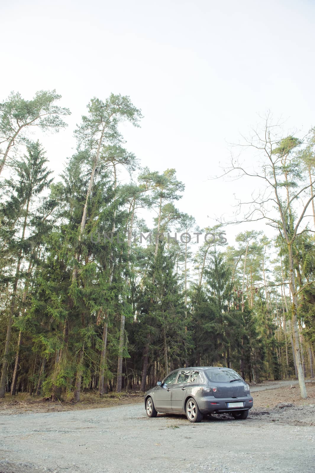 Gray hatchback car parked next to the wood