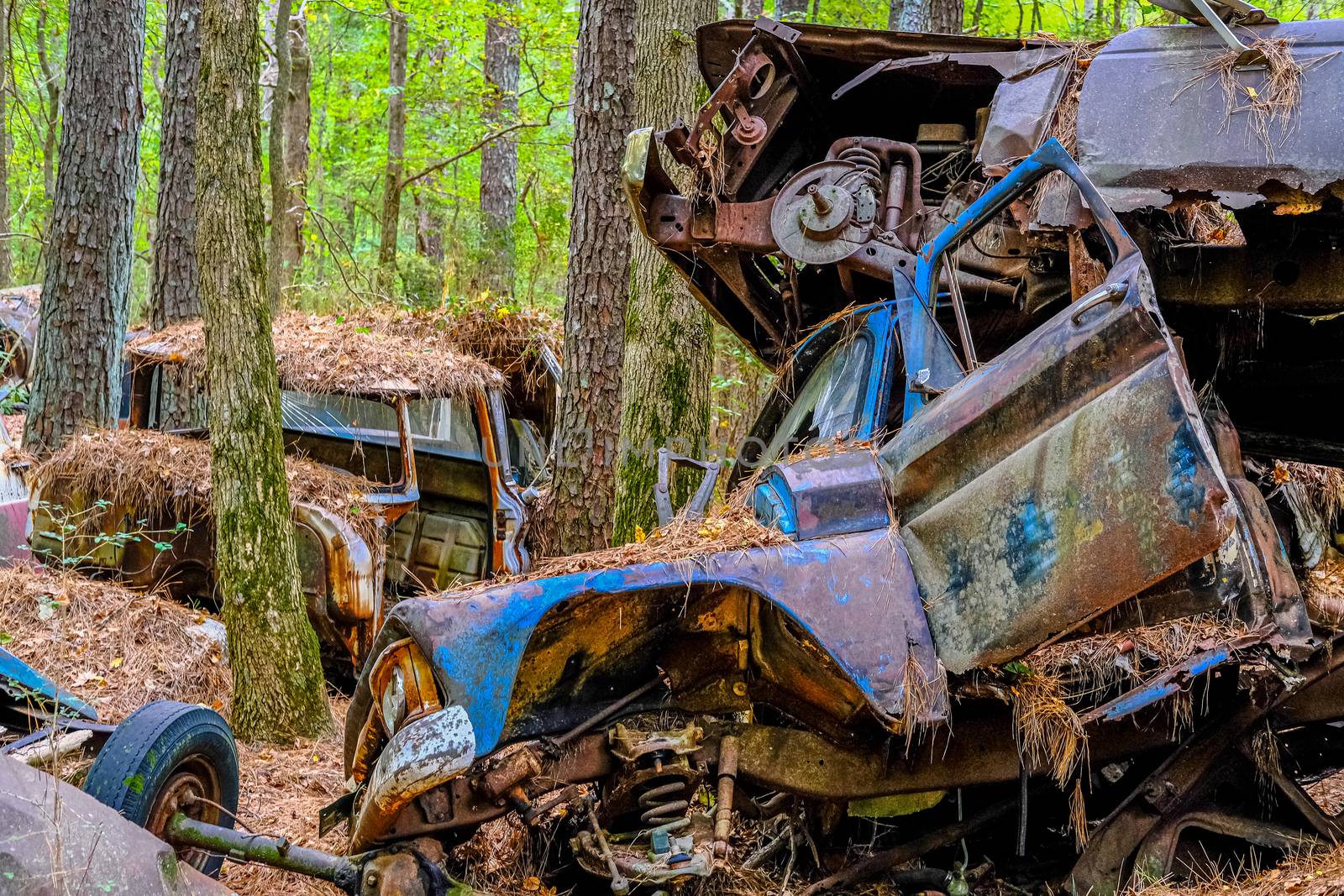 Piles of Wrecked Cars in a Woodland Junkyard