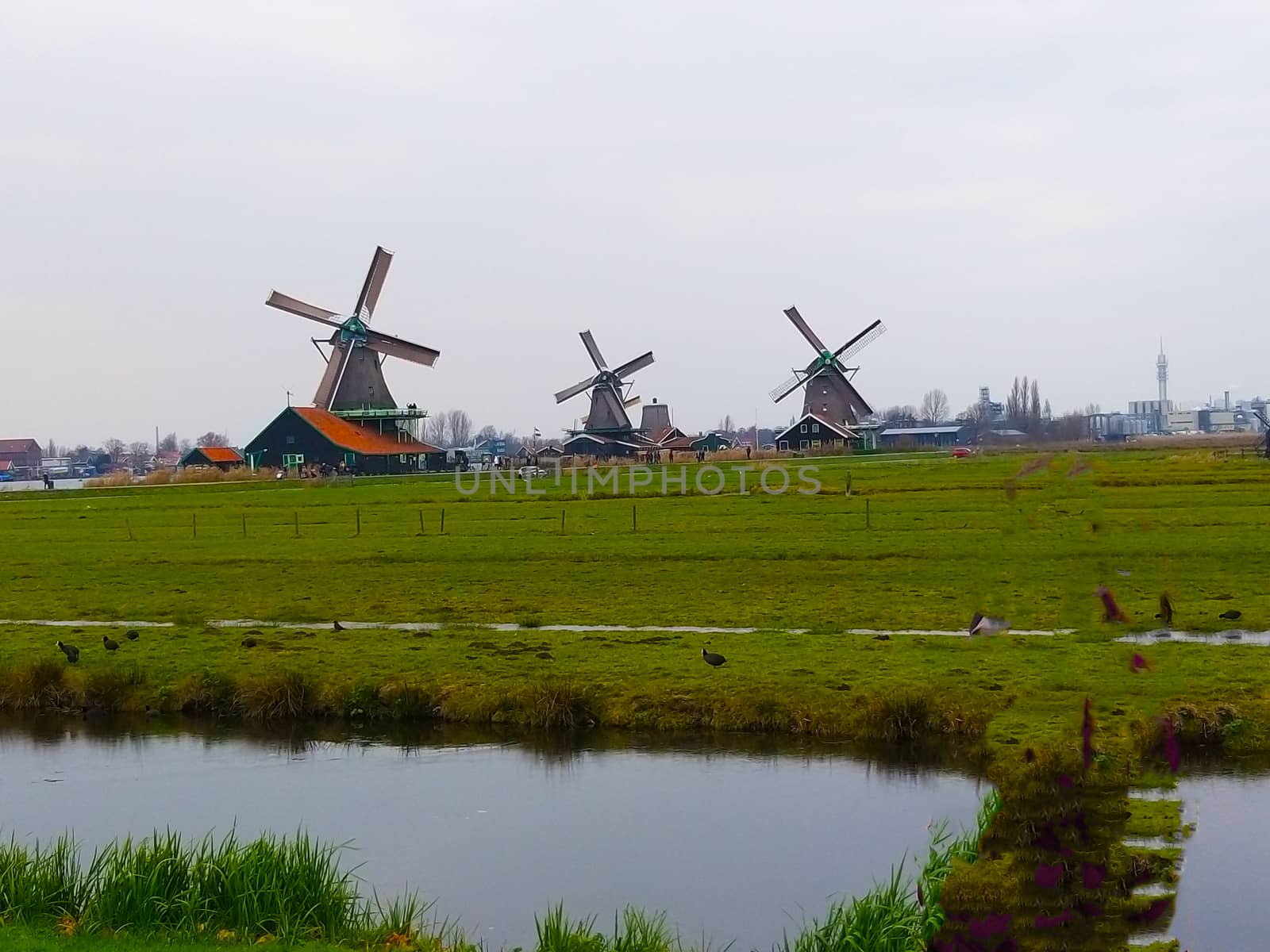 visiting a rural area in Netherlands