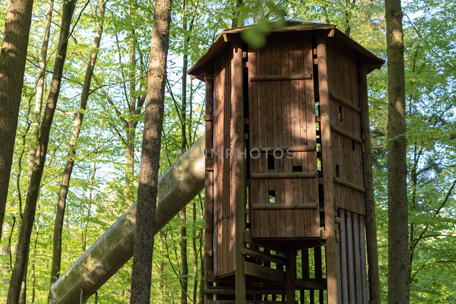 Cute wooden tree house for kids in tropical forest.