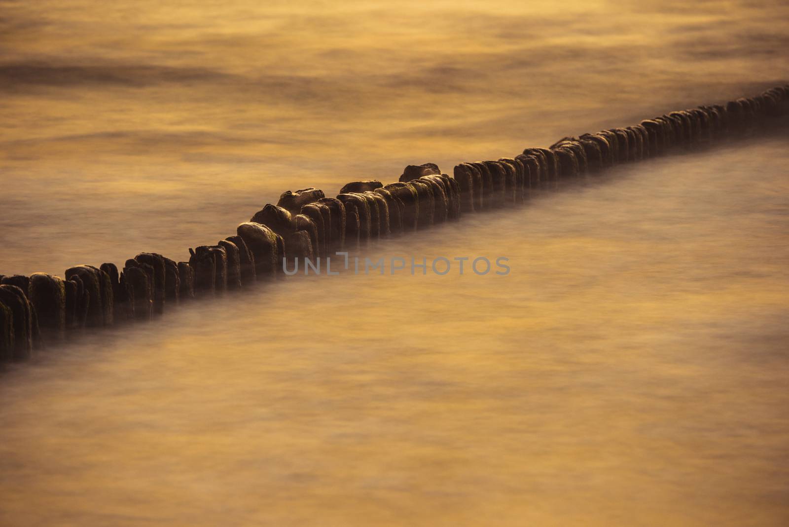 A photograph of wooden breakwater and seagulls at sunset on the Baltic Sea