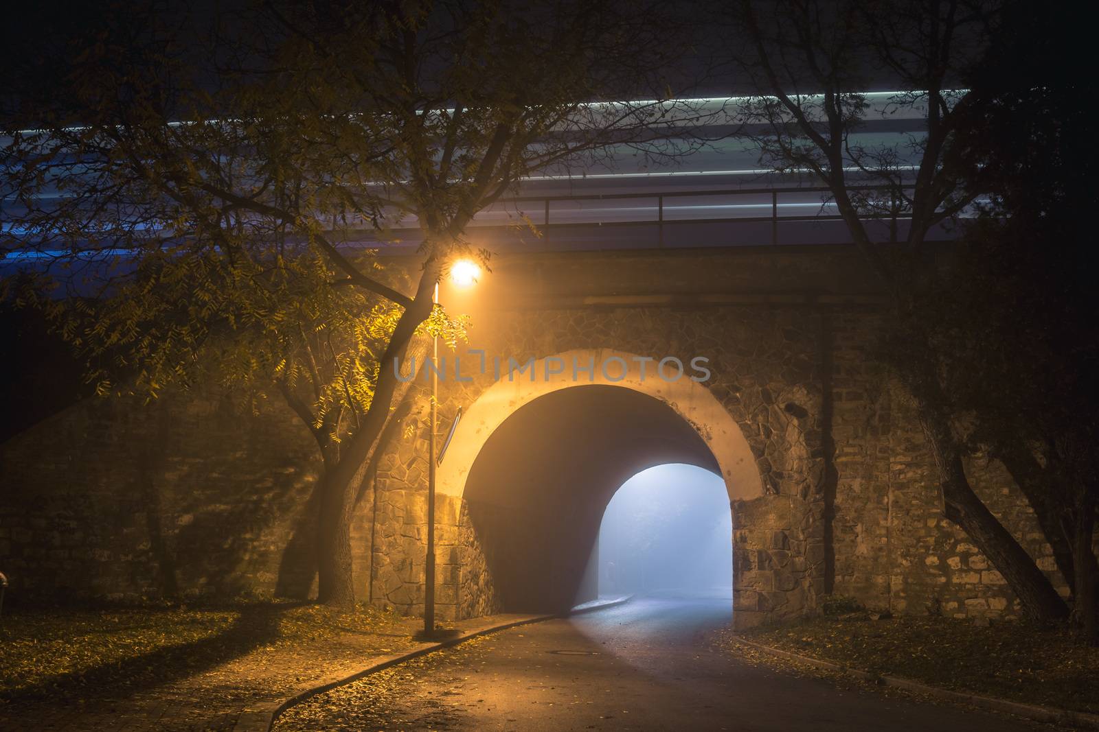 The Tunnel. Railway bridge. Way out with spooky mist and fog at night. Train i just passing by on the bridge. by petrsvoboda91