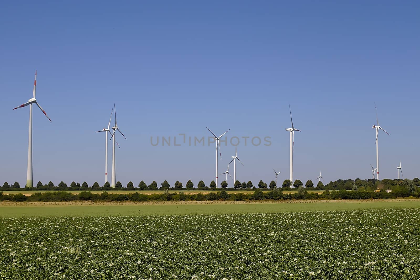 A wind-farm producing green energy in a german field