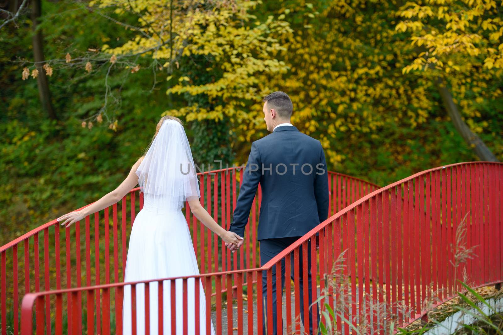 Bride and groom at a photo session in the nature.