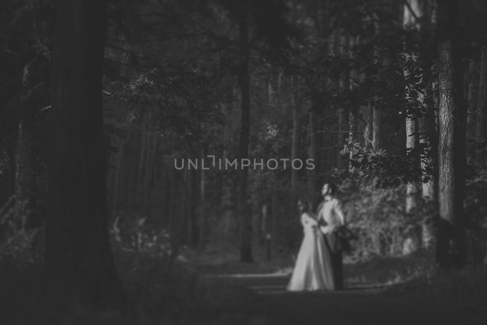 Bride and groom at a photo session in the nature.