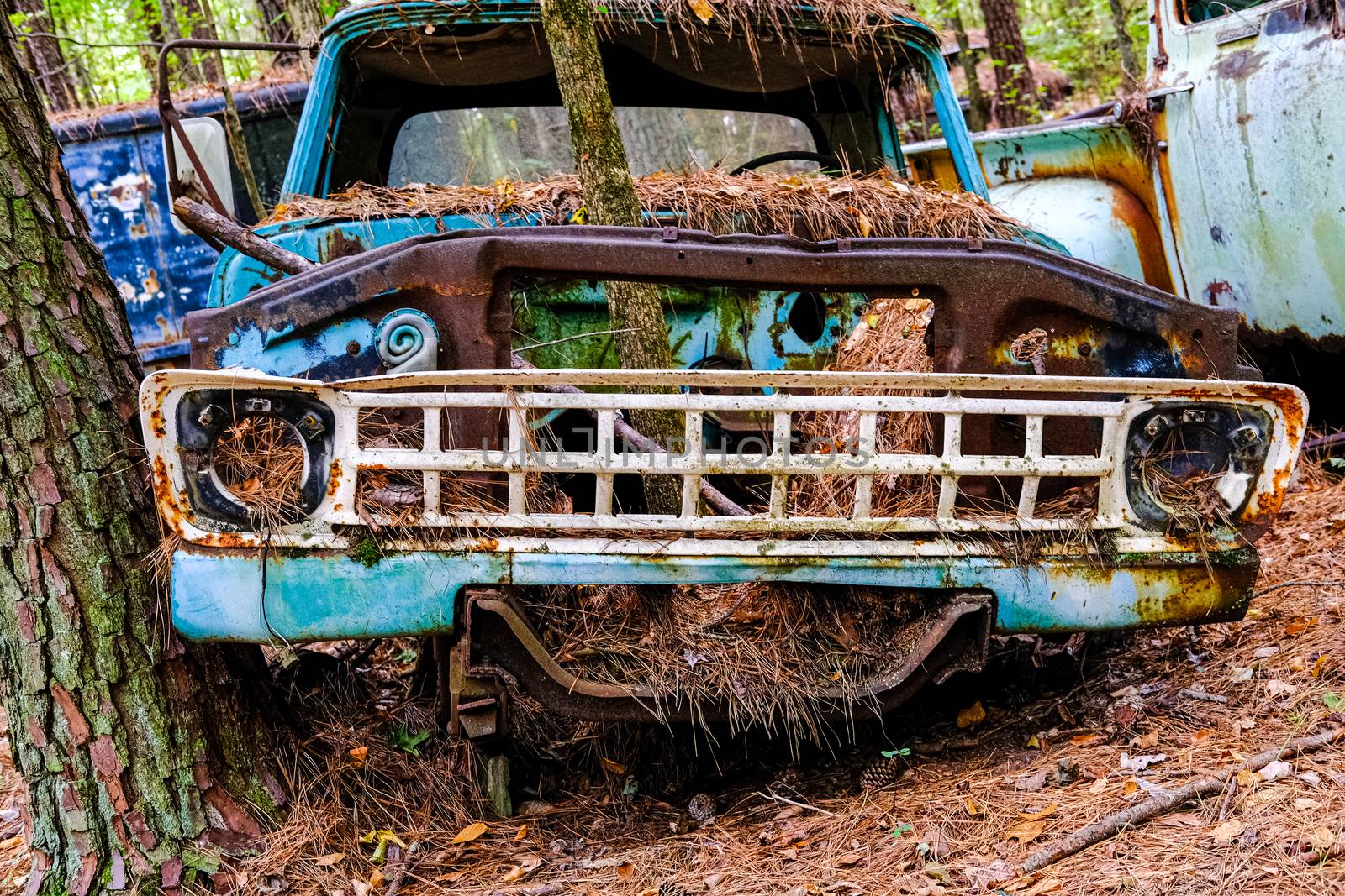 White Grill on Old Truck in a Woodland Junkyard
