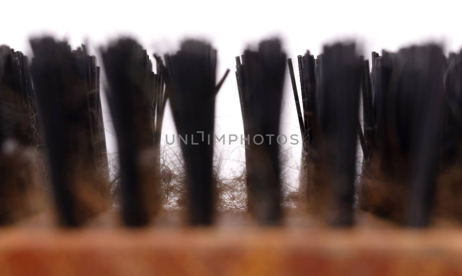 Old brush for dog or cat hair, used - Isolated on white