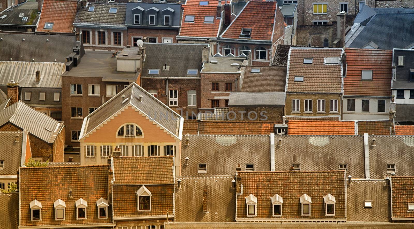 very nice view over the roofs of Liege in Belgium and houses