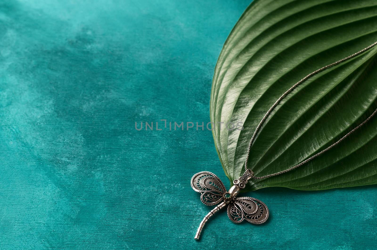 Silver dragonfly pendant on turcuoise background. The chain of pendant lies on big plant leaf. Perfect jewellery photo.