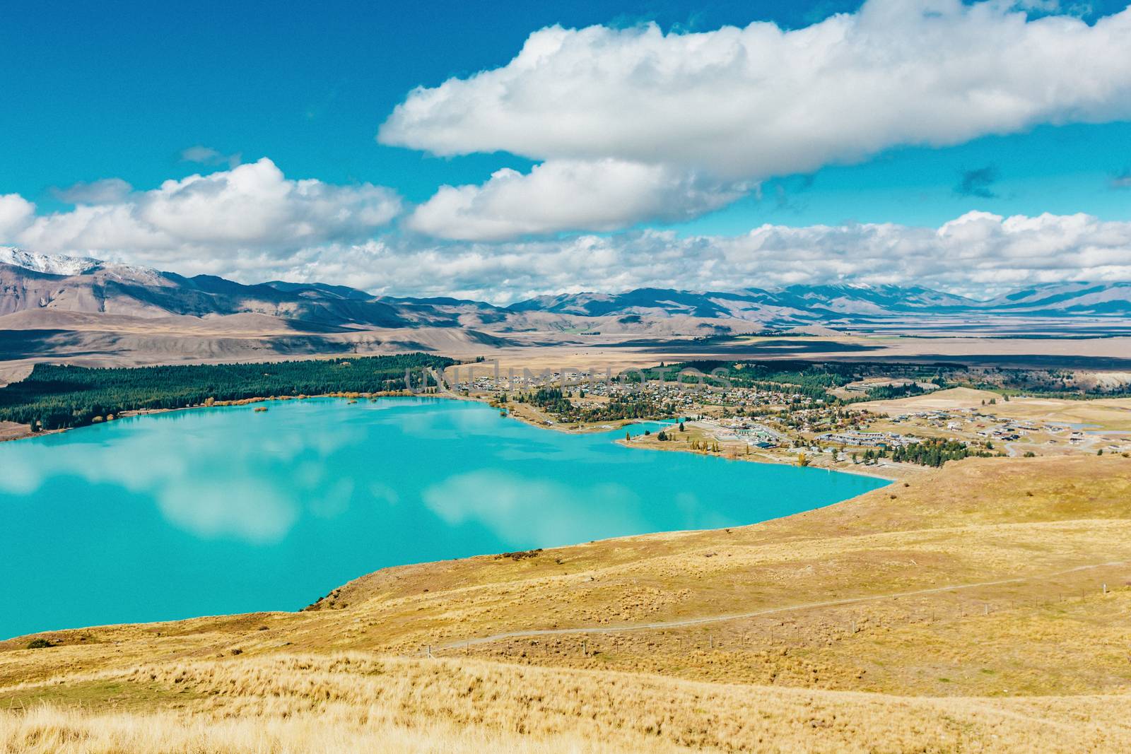 View of Lake Tekapo from Mount John, NZ by cozyta