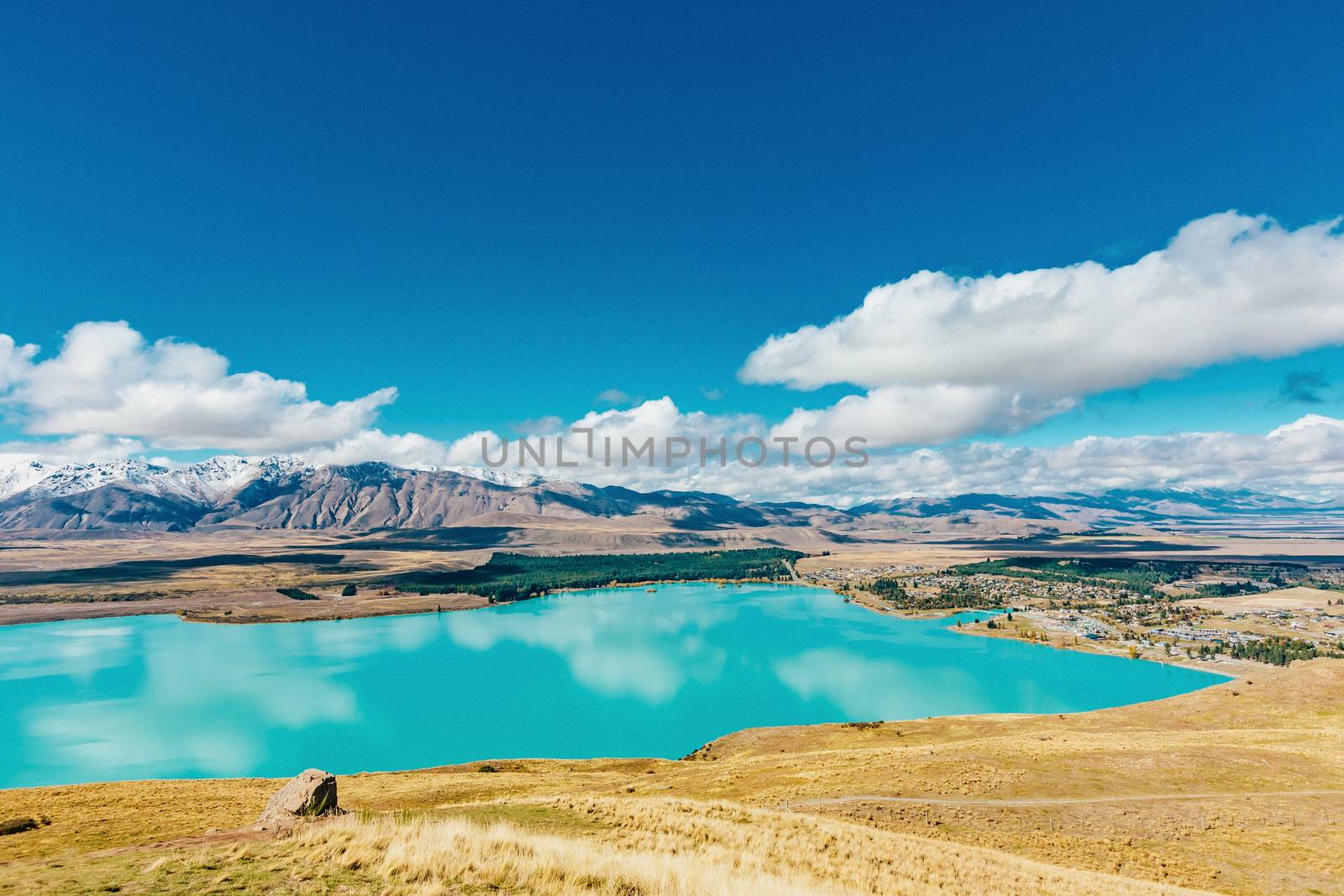 View of Lake Tekapo from Mount John, NZ by cozyta