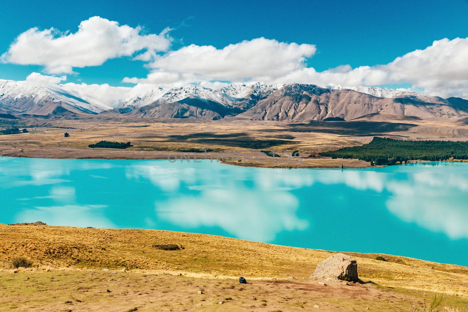 View of Lake Tekapo from Mount John, NZ by cozyta