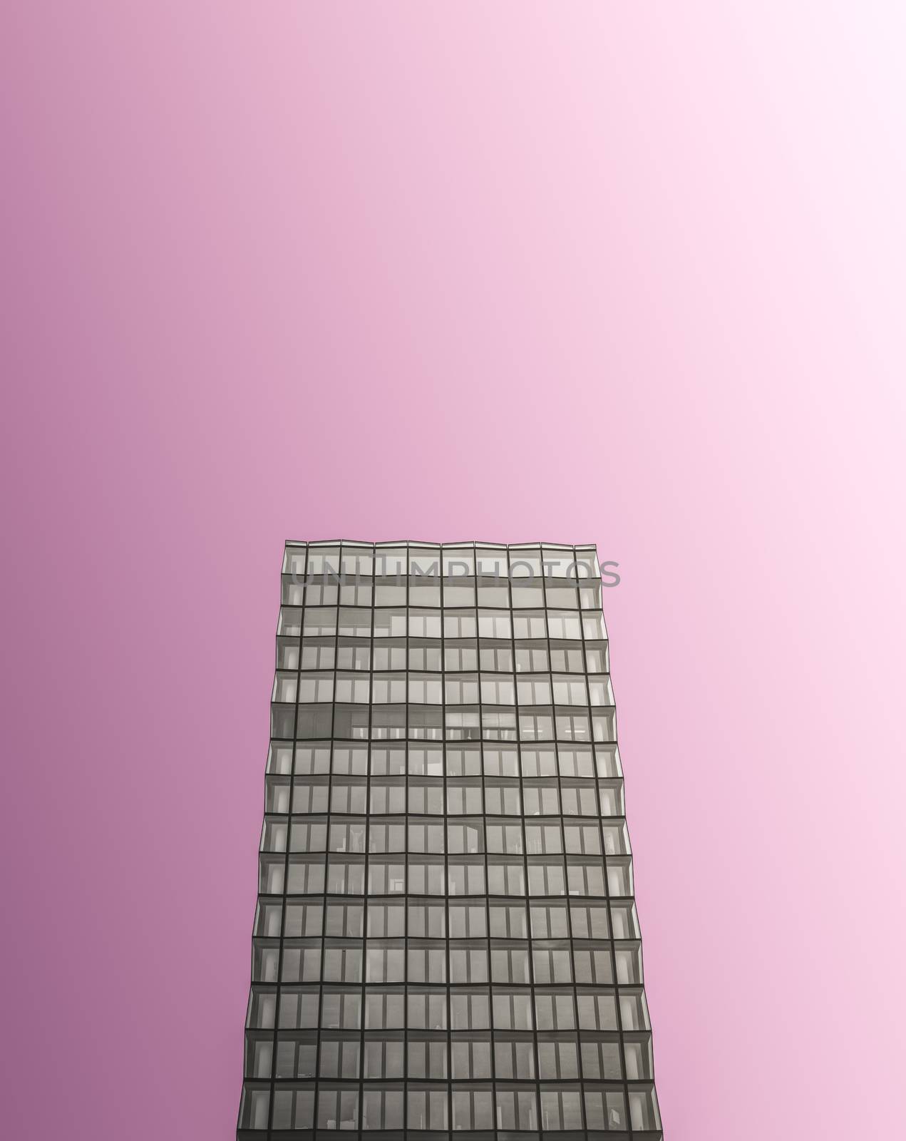 Monochrome Glass Skyscraper On Pink by mrdoomits