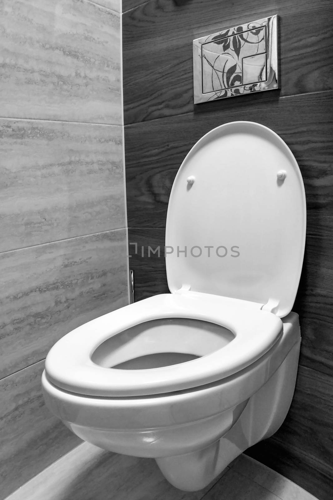 White toilet in modern home, white toilet bowl in cleaning room, flushing liquid in toilet, private toilet in modern room